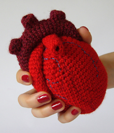 Anatomical heart