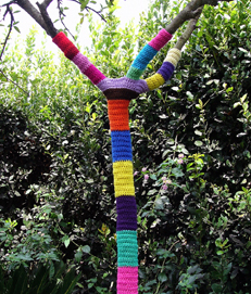 Yarn bombing in my garden! A touch of color for my little laburnum